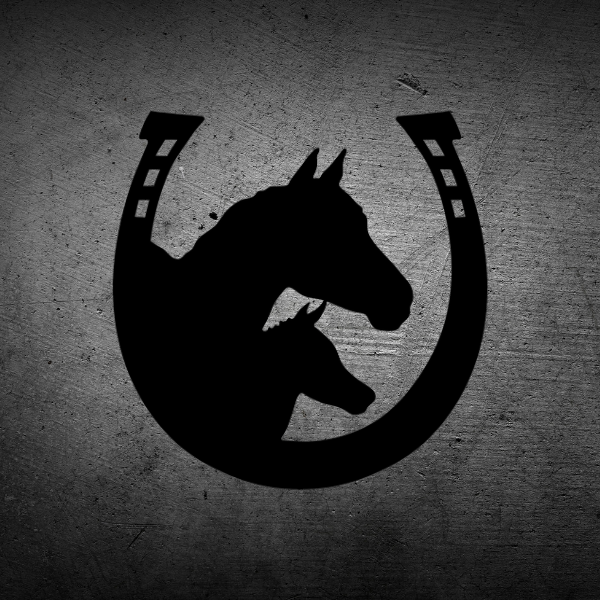 Horseshoe Silhouette Wall Décor image 1