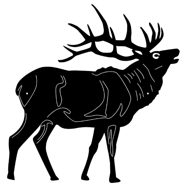 Bugling Elk 1