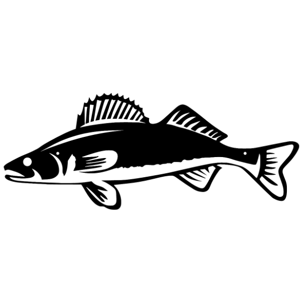 Walleye Wall Mount Decor image 0