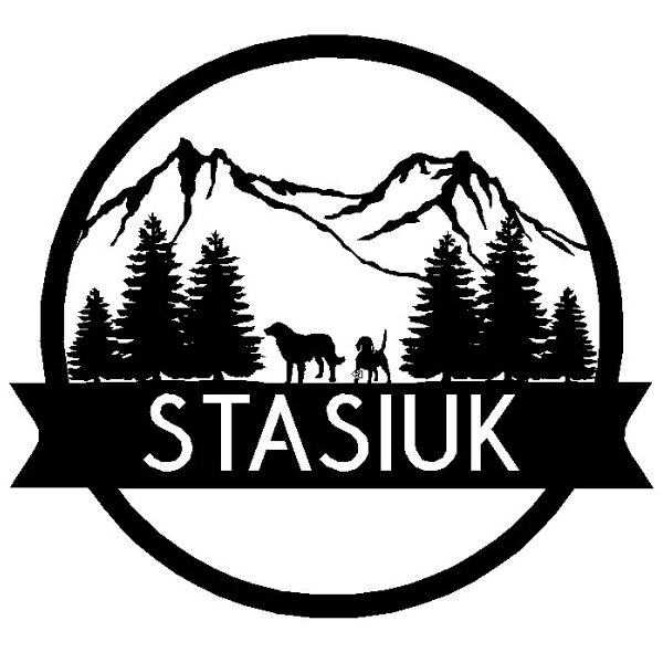 Stasiuk Labrador Dog image 0