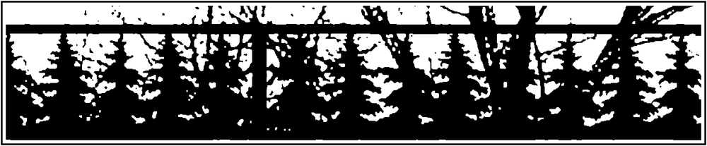 Pine trees laser-cut steel fence topper pattern matching live design